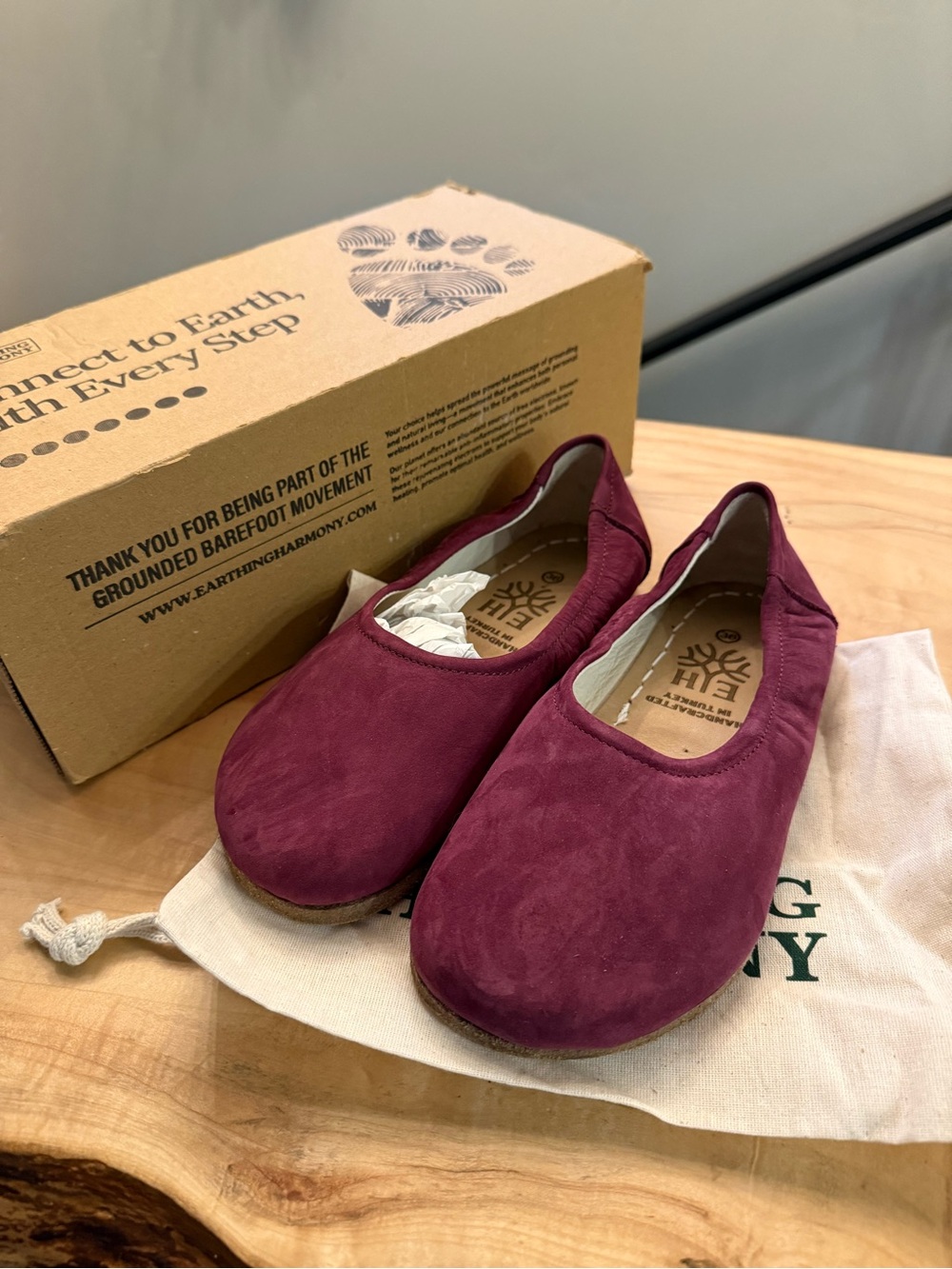 Earthing Harmony ballet flats